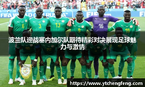 波兰队迎战塞内加尔队期待精彩对决展现足球魅力与激情